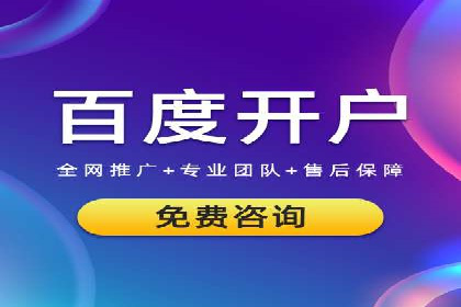 SEM代运营经典案例解析与启示